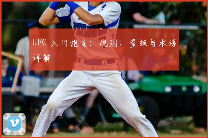 UFC 入门指南:规则、量级与术语详解