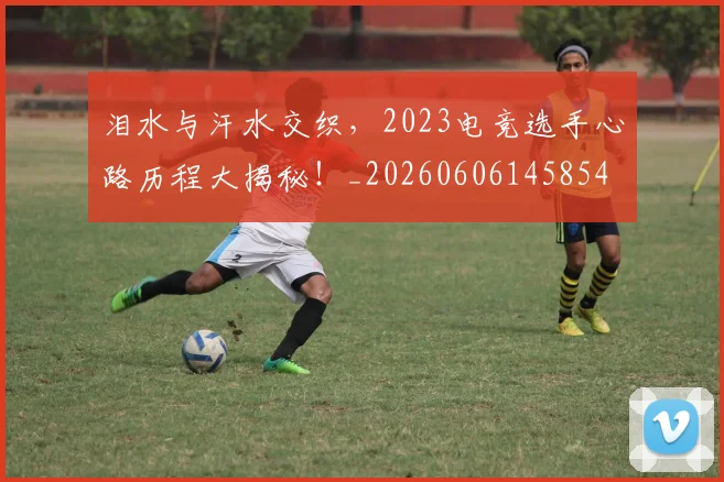 泪水与汗水交织，2023电竞选手心路历程大揭秘！_20260606145854
