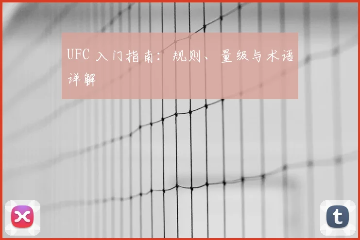 UFC 入门指南：规则、量级与术语详解
