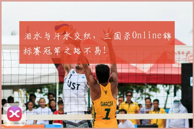 泪水与汗水交织，三国杀Online锦标赛冠军之路不易！